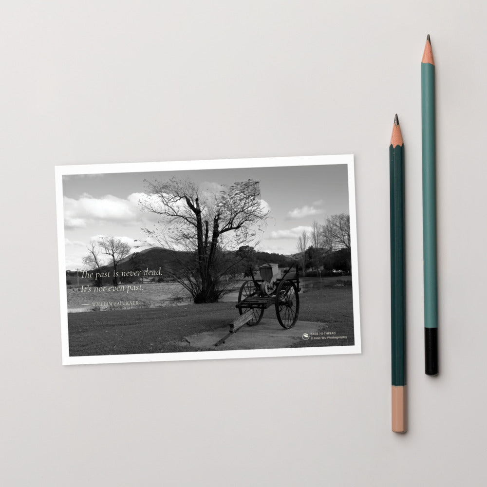 The Past Beneath the Tree – Postcard