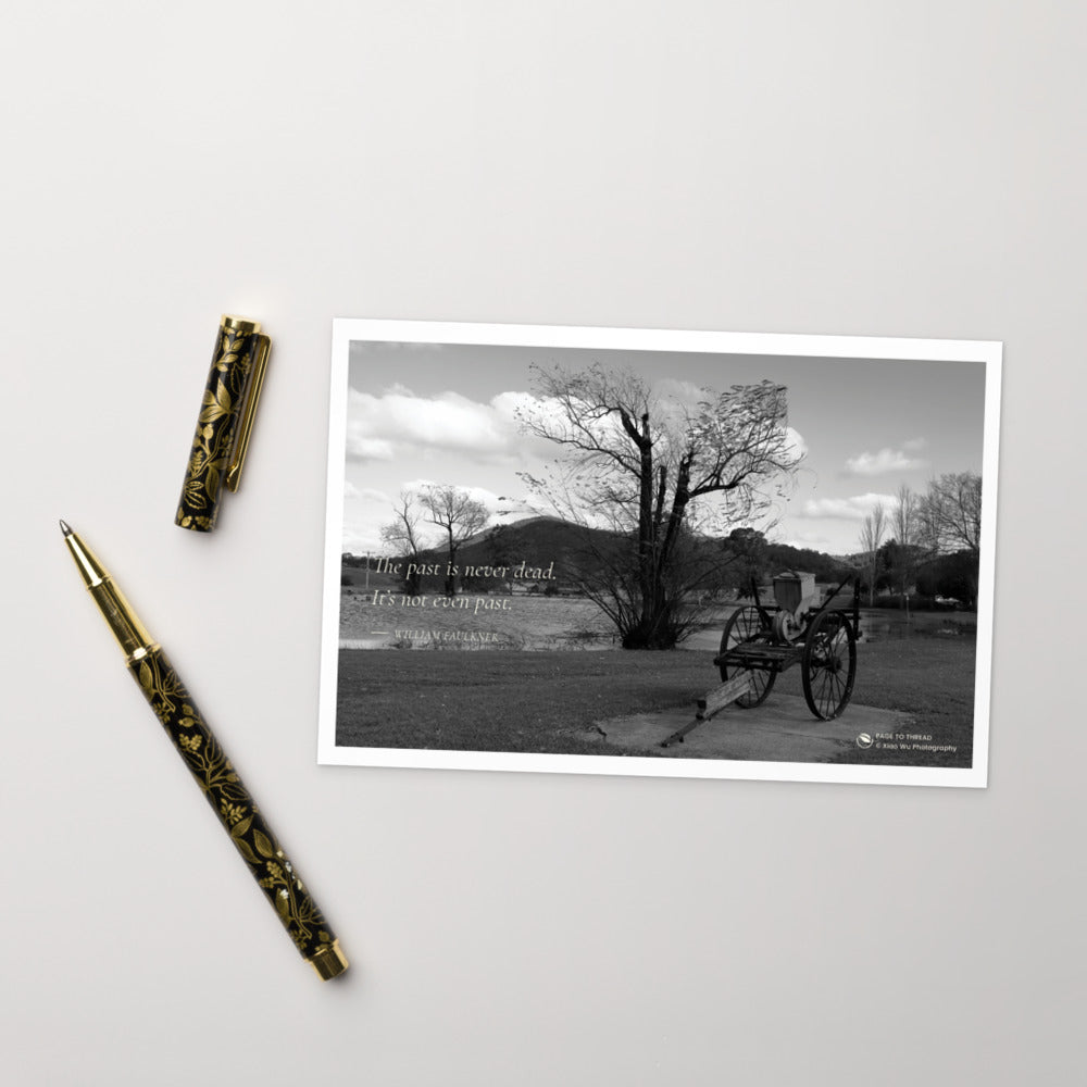The Past Beneath the Tree – Postcard