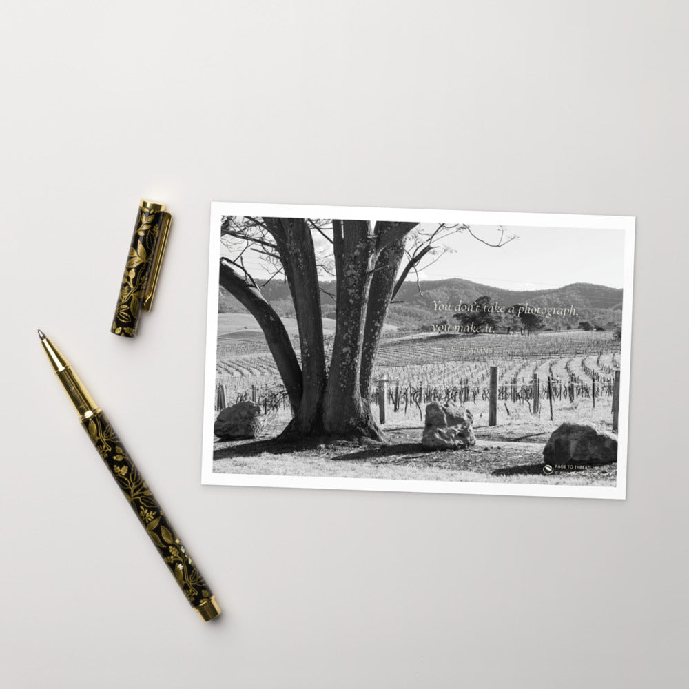 Vineyard View Under the Tree – Postcard