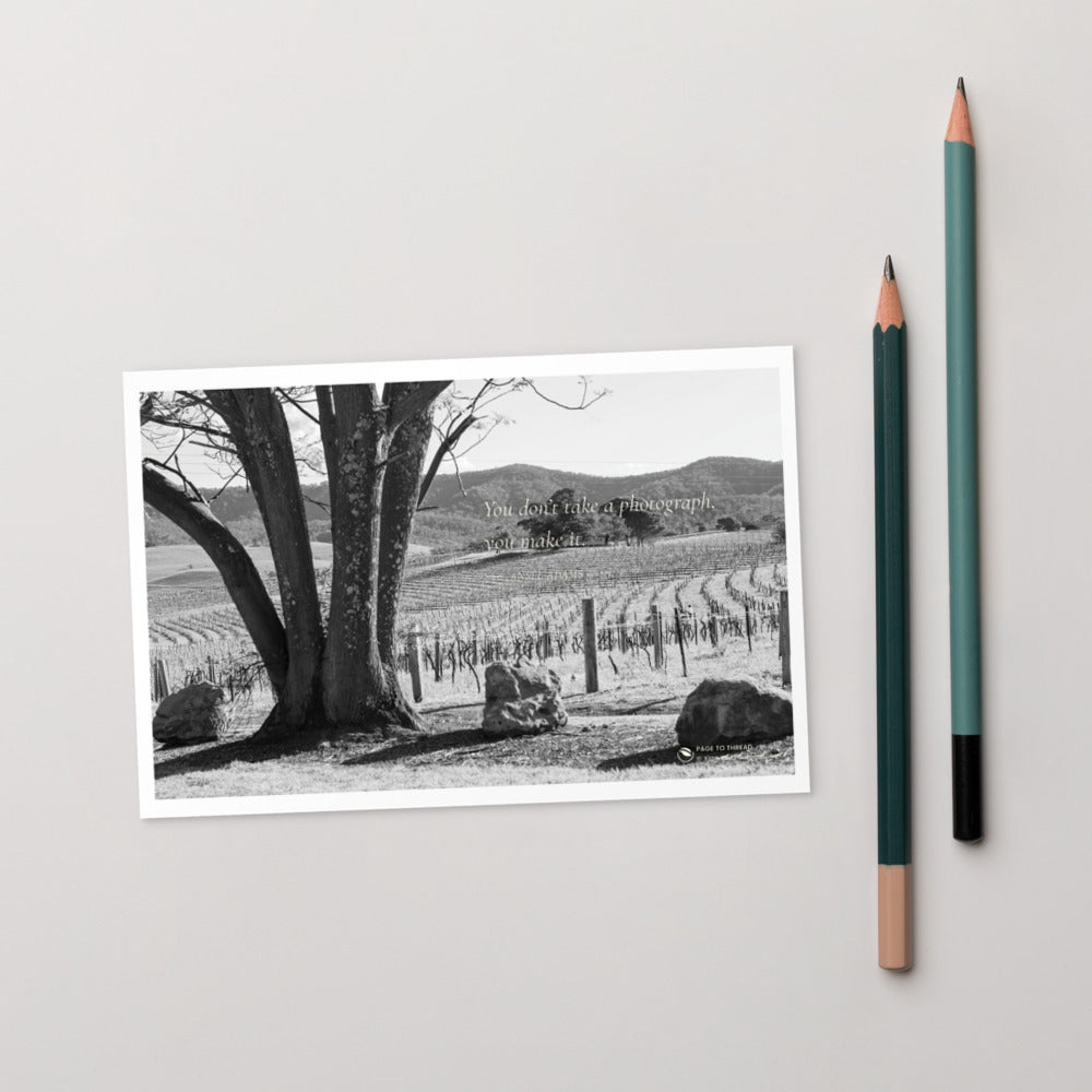 Vineyard View Under the Tree – Postcard