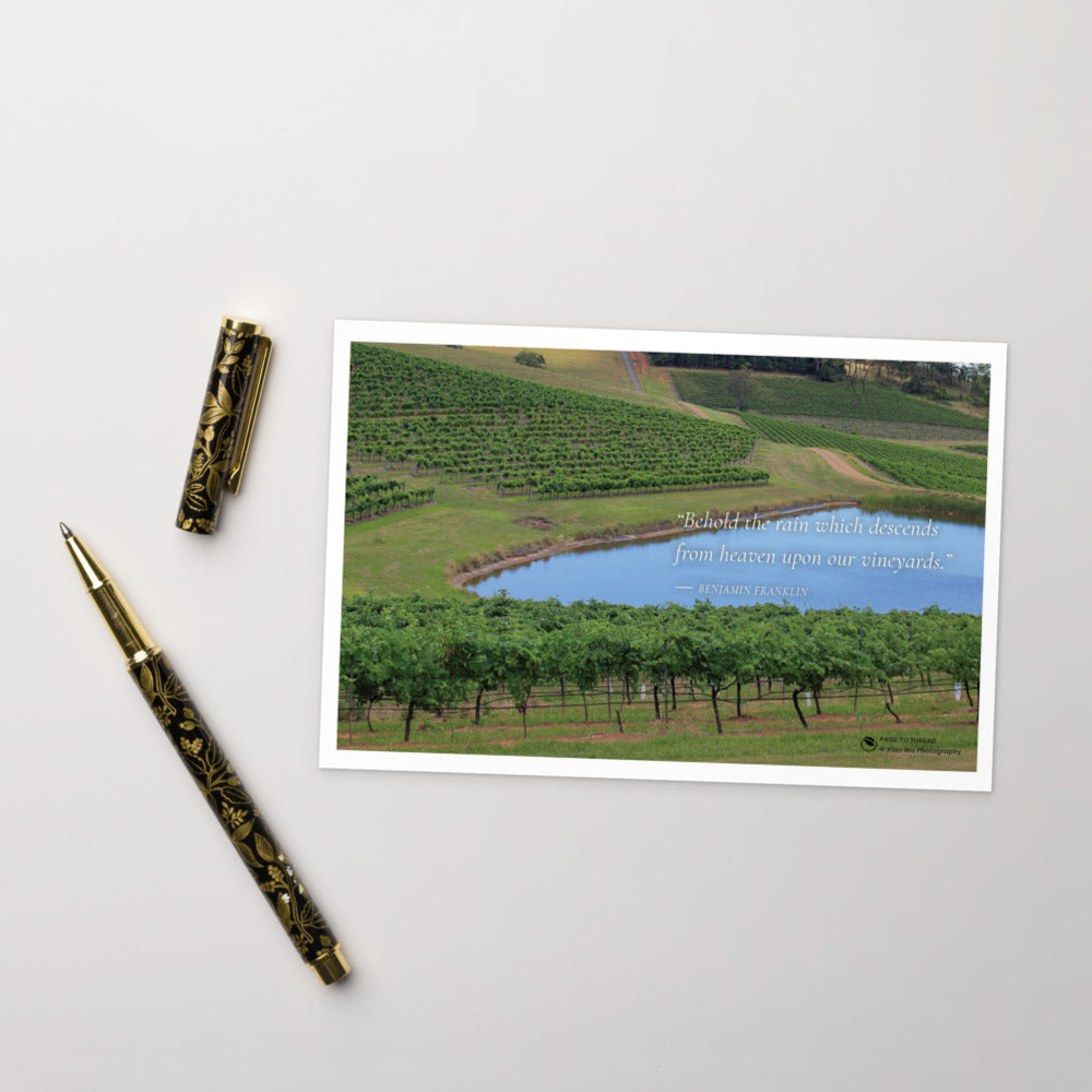 Vineyard by the Blue Dam – Postcard