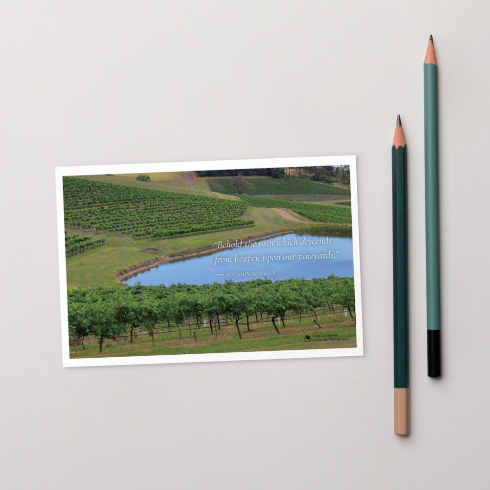 Vineyard by the Blue Dam – Postcard