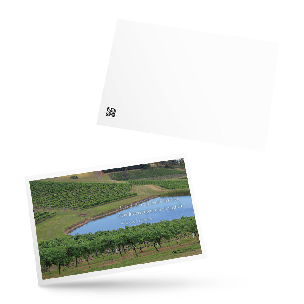 Vineyard by the Blue Dam – Postcard