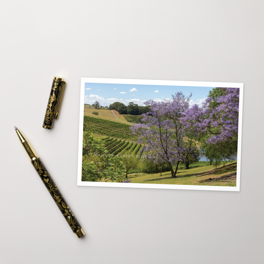 Jacaranda Over the Vineyard – Postcard