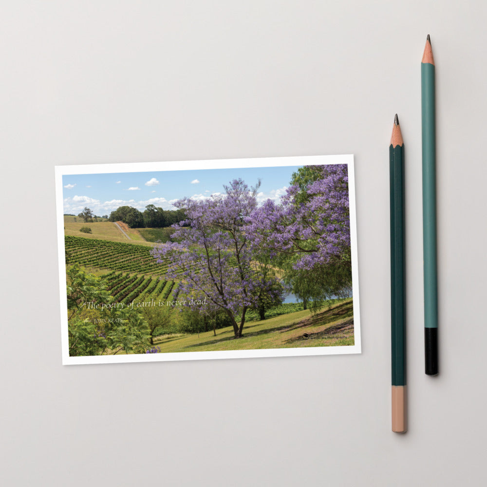 Jacaranda Over the Vineyard – Postcard